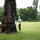 Man and Tree Innerstream