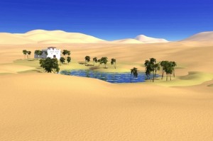 transforming our desert - innerstream