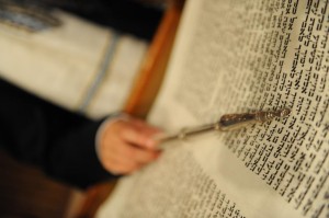torah - innerstream