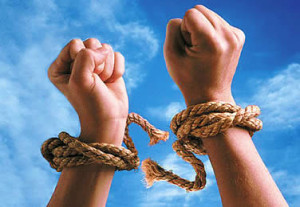 freedom in captivity - innerstream