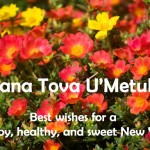 Shana Tova