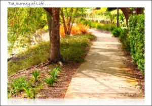 live every moment