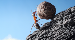 hard-work-innerstream.ca