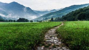 on-the-derech-innerstream.ca