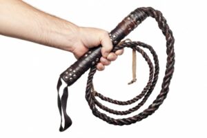 whip-innerstream.ca