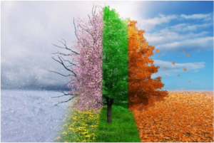 seasons-innerstream.ca