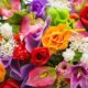 types-of-flowers-780x520-1