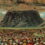 Mount-Sinai